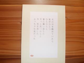 葛飾ロビンソン作品展