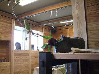 岡部享憲作陶展