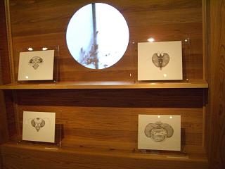 マナコガネ　東野健一