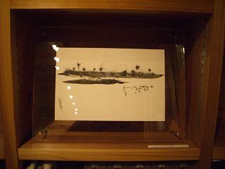 マナコガネ　東野健一
